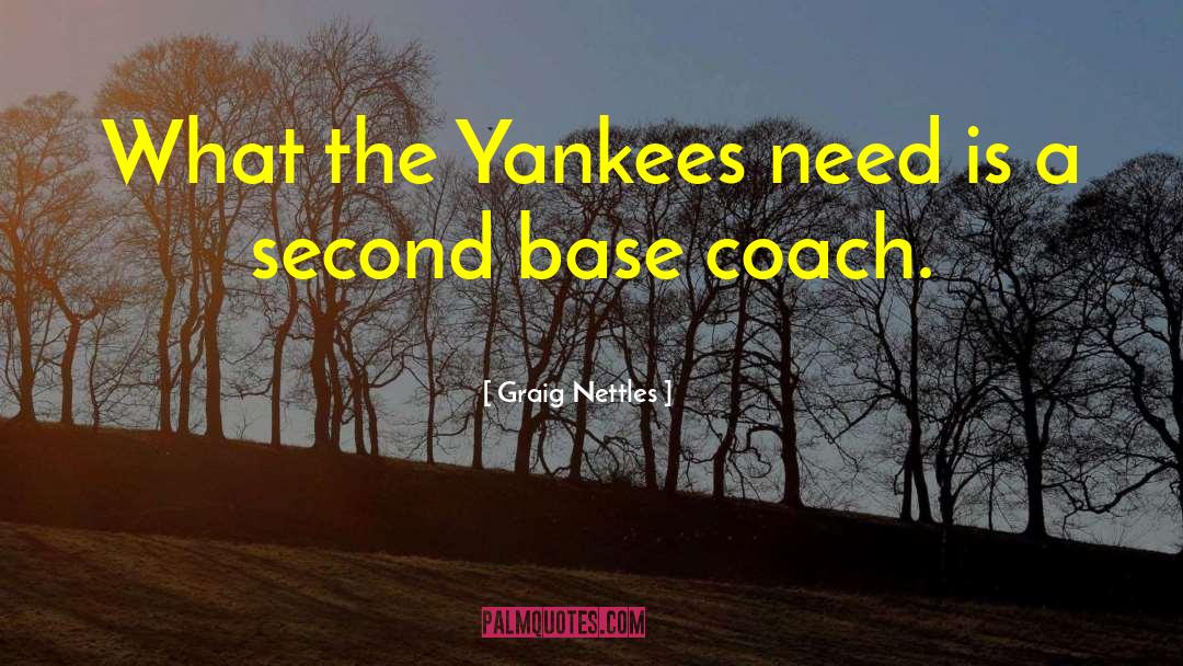 Graig Nettles Quotes: What the Yankees need is