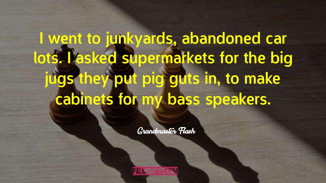 Grandmaster Flash Quotes: I went to junkyards, abandoned