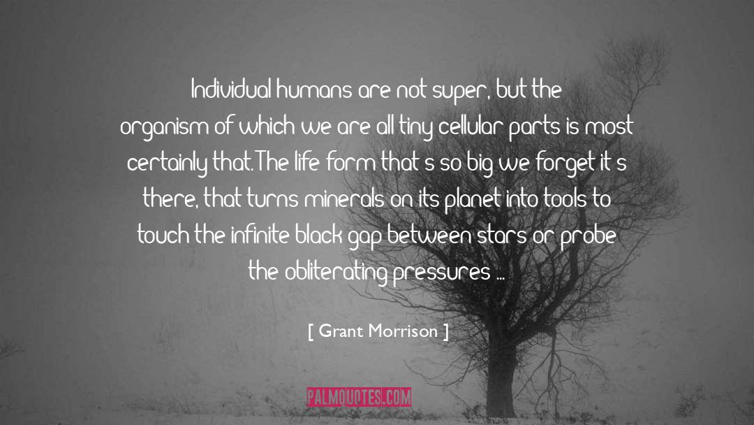 Grant Morrison Quotes: Individual humans are not super,