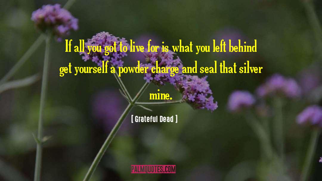 Grateful Dead Quotes: If all you got to