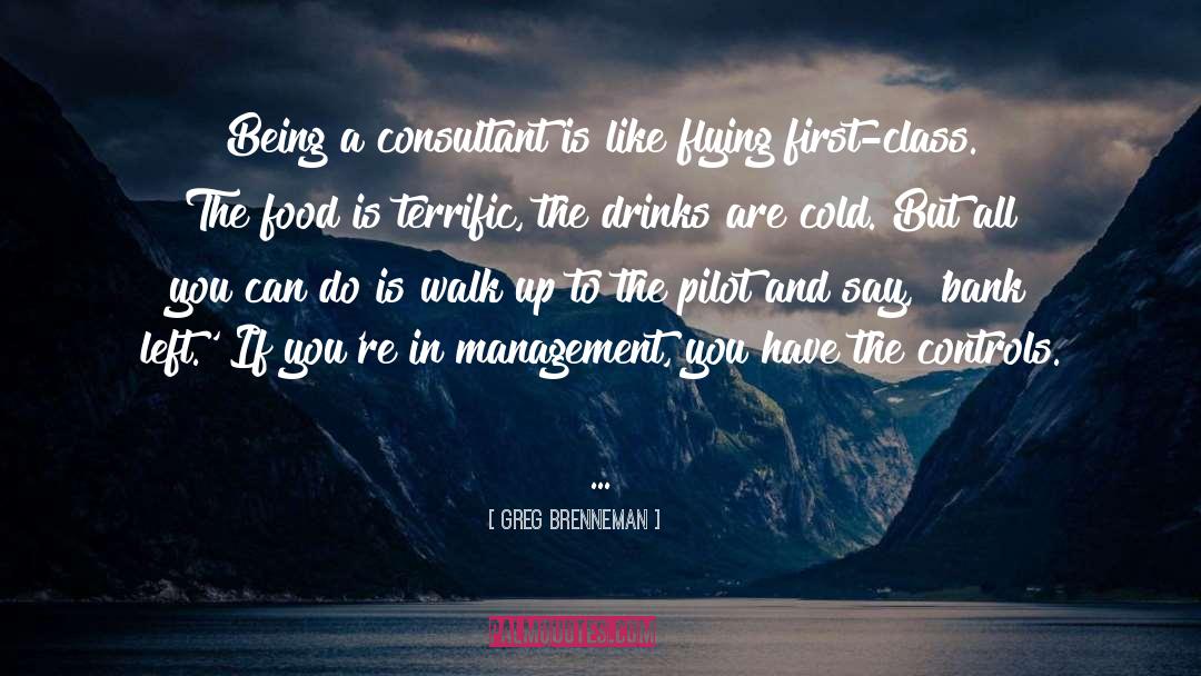 Greg Brenneman Quotes: Being a consultant is like