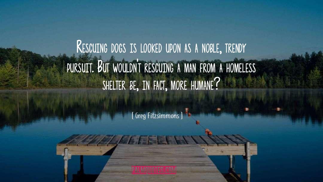 Greg Fitzsimmons Quotes: Rescuing dogs is looked upon