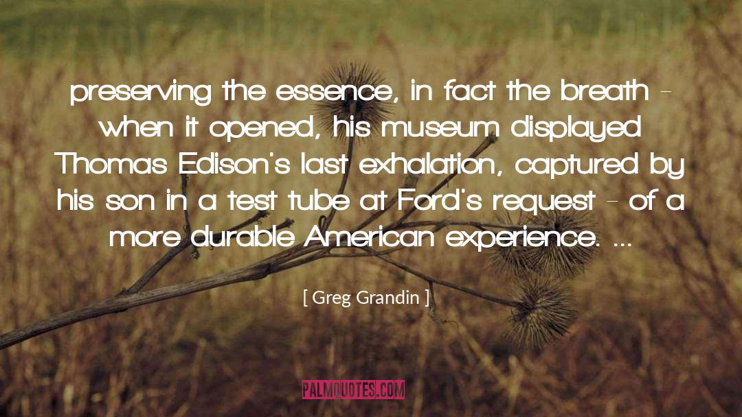 Greg Grandin Quotes: preserving the essence, in fact