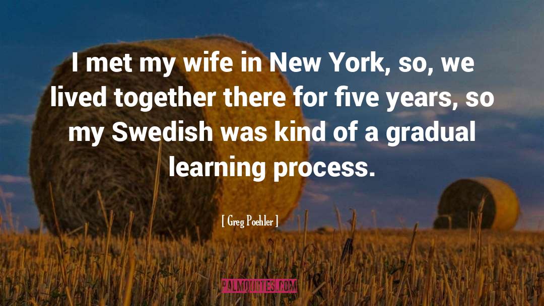 Greg Poehler Quotes: I met my wife in
