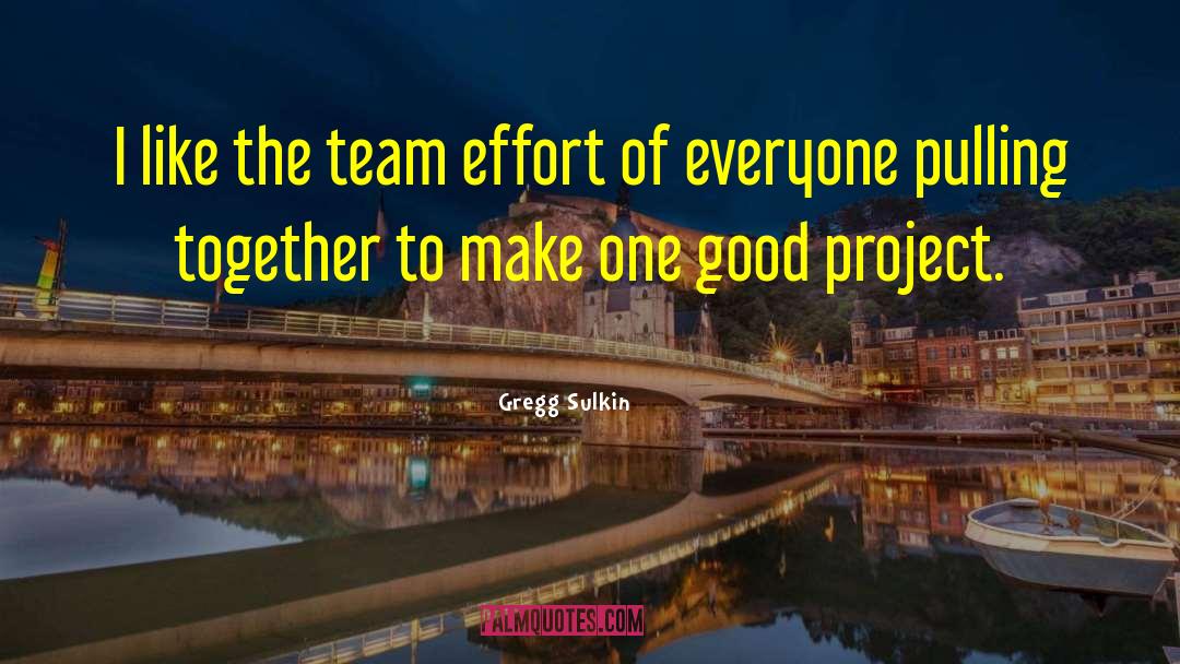 Gregg Sulkin Quotes: I like the team effort