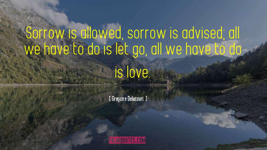 Gregoire Delacourt Quotes: Sorrow is allowed, sorrow is