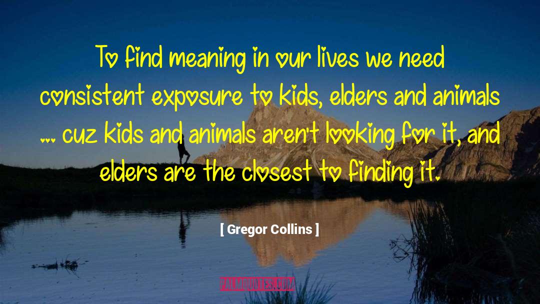 Gregor Collins Quotes: To find meaning in our