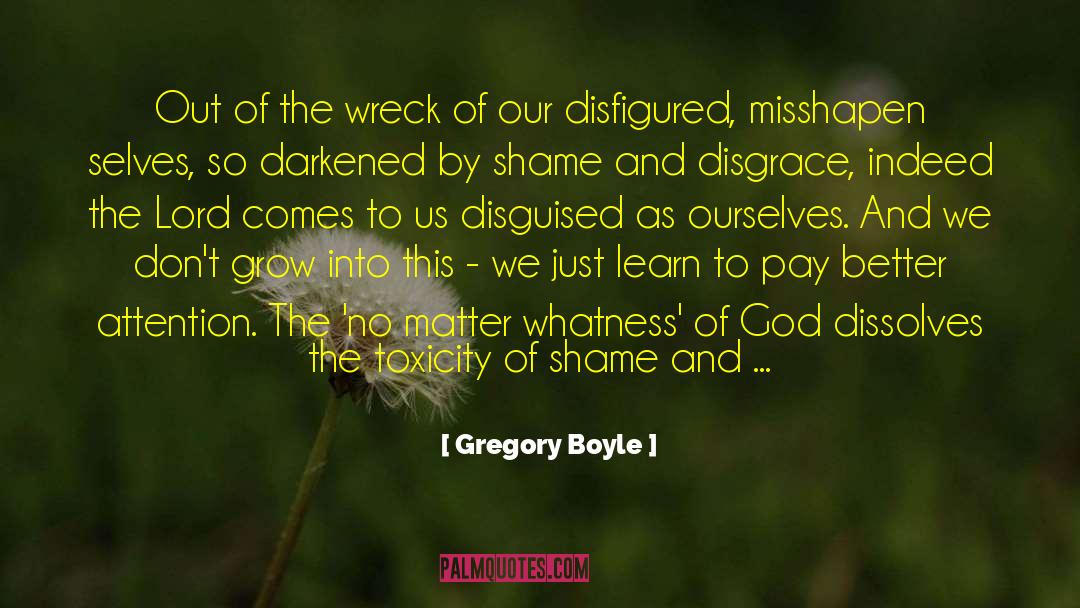 Gregory Boyle Quotes: Out of the wreck of