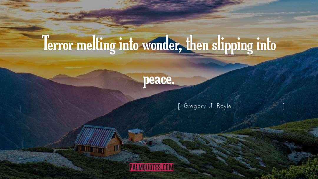 Gregory J. Boyle Quotes: Terror melting into wonder, then