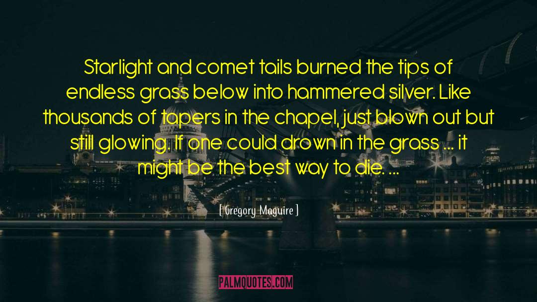 Gregory Maguire Quotes: Starlight and comet tails burned