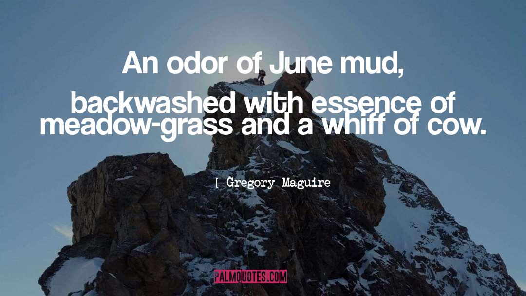 Gregory Maguire Quotes: An odor of June mud,