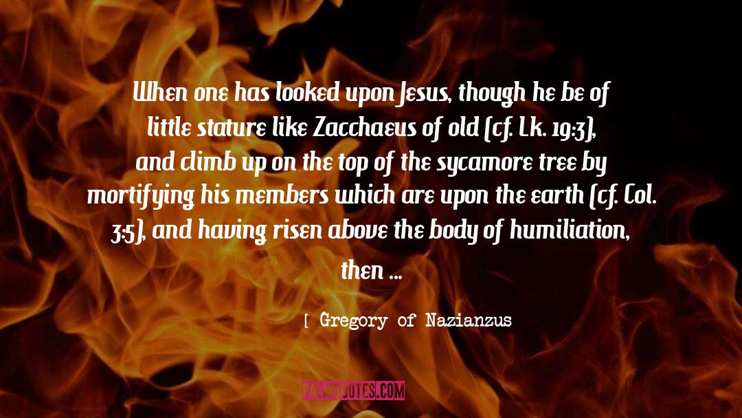 Gregory Of Nazianzus Quotes: When one has looked upon