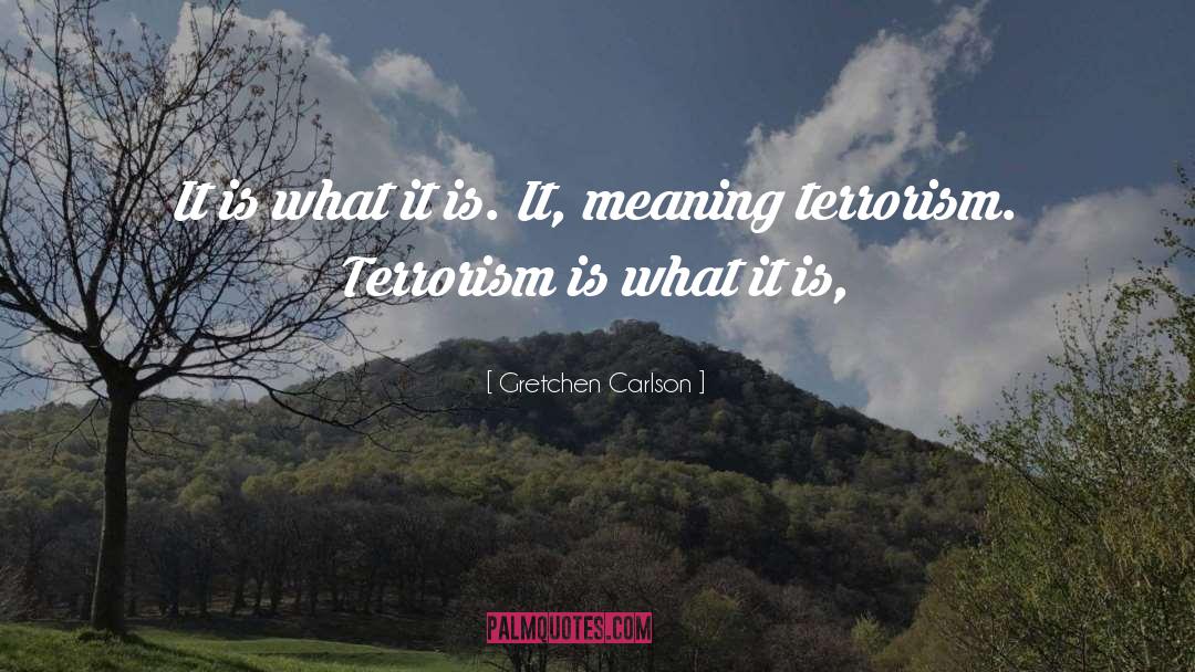 Gretchen Carlson Quotes: It is what it is.