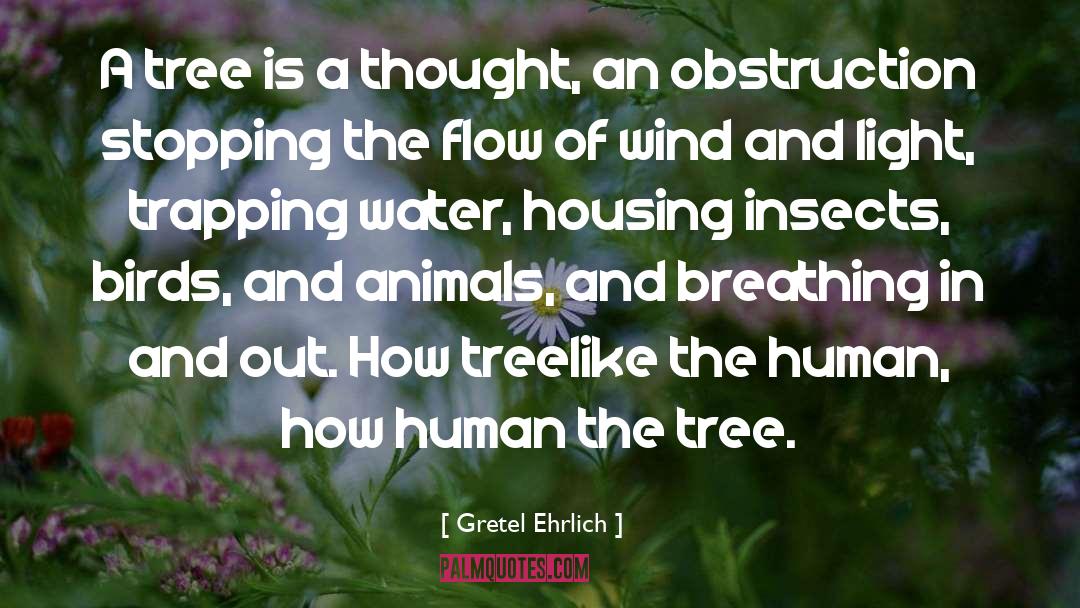 Gretel Ehrlich Quotes: A tree is a thought,