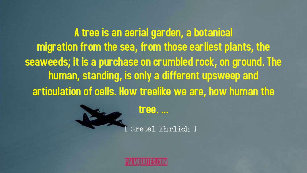 Gretel Ehrlich Quotes: A tree is an aerial