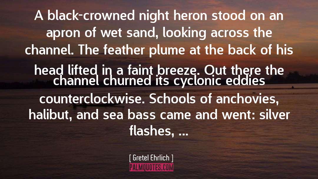 Gretel Ehrlich Quotes: A black-crowned night heron stood