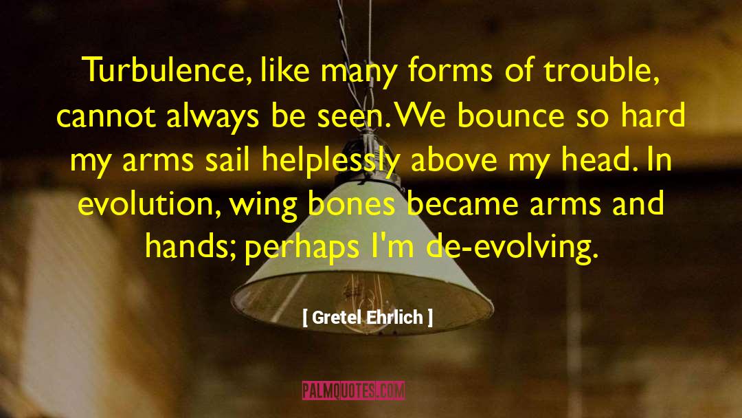 Gretel Ehrlich Quotes: Turbulence, like many forms of