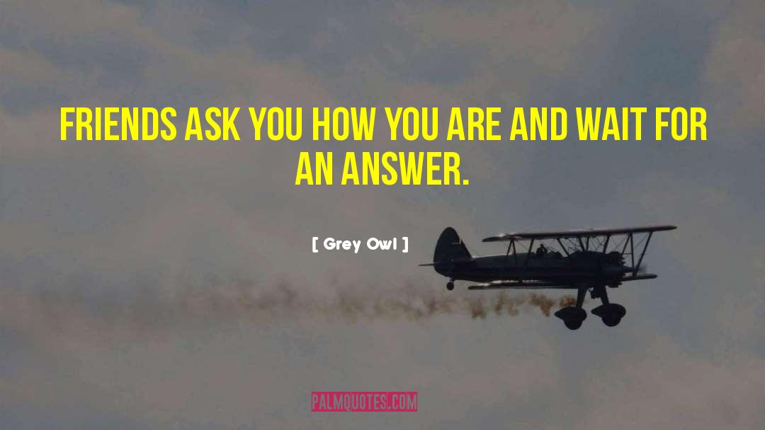 Grey Owl Quotes: Friends ask you how you