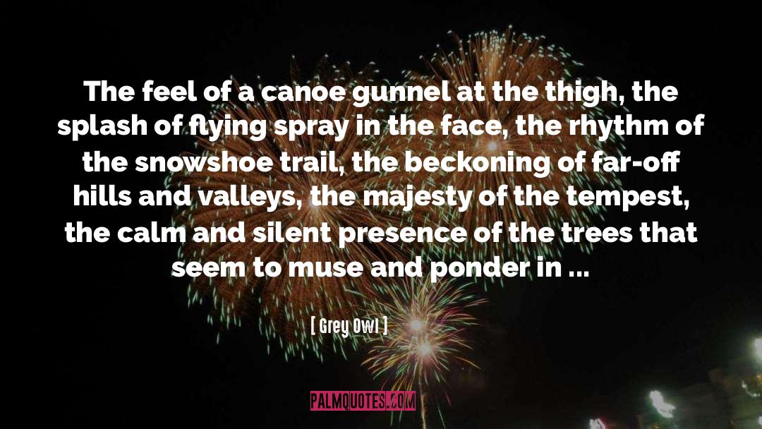 Grey Owl Quotes: The feel of a canoe