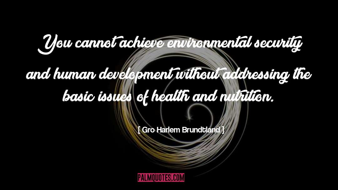Gro Harlem Brundtland Quotes: You cannot achieve environmental security