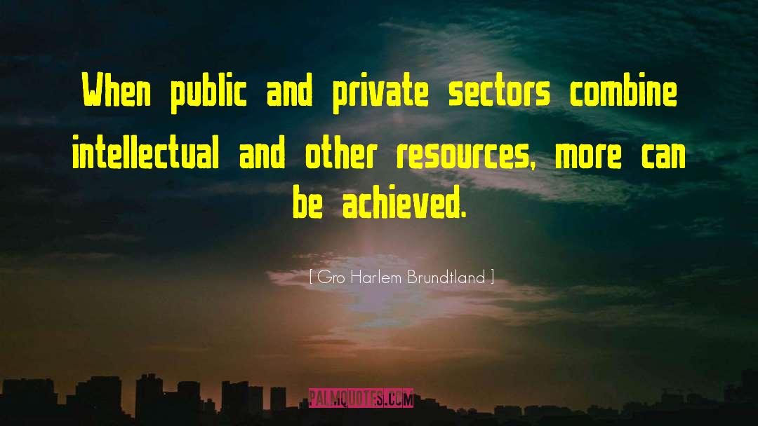 Gro Harlem Brundtland Quotes: When public and private sectors