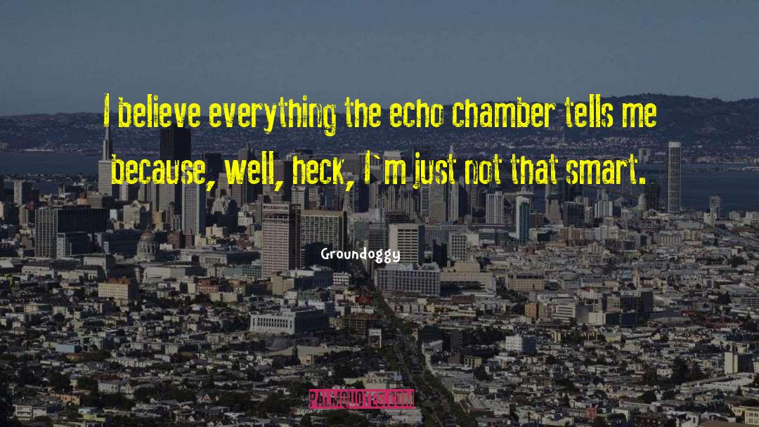 Groundoggy Quotes: I believe everything the echo