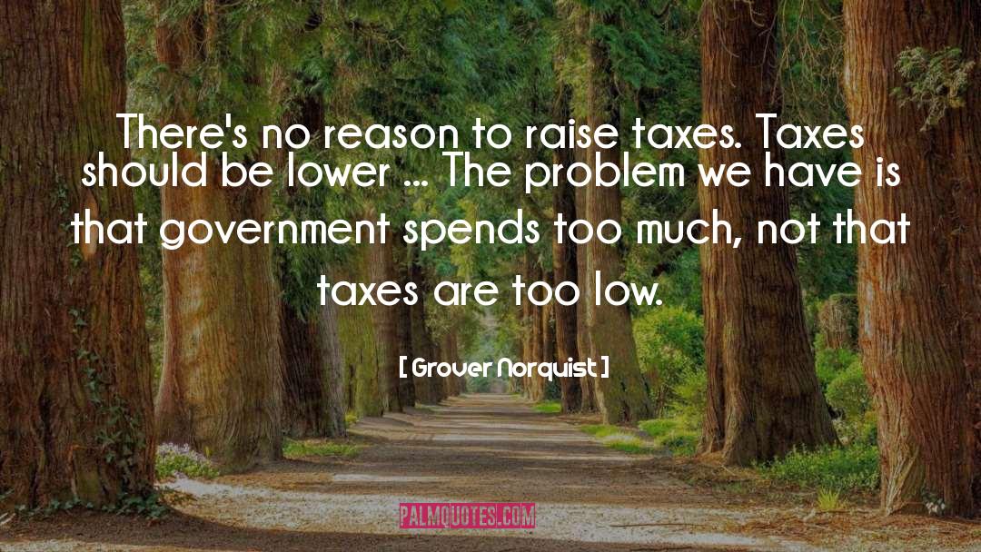 Grover Norquist Quotes: There's no reason to raise