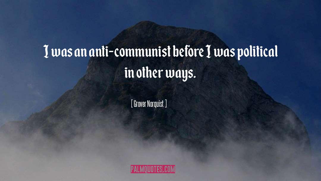 Grover Norquist Quotes: I was an anti-communist before