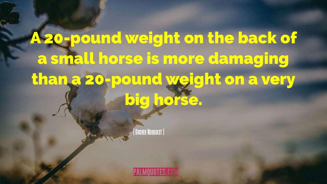 Grover Norquist Quotes: A 20-pound weight on the