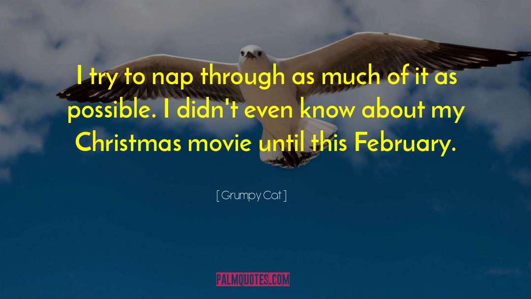 Grumpy Cat Quotes: I try to nap through