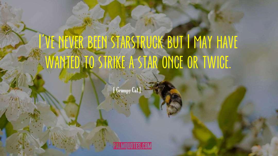Grumpy Cat Quotes: I've never been starstruck but