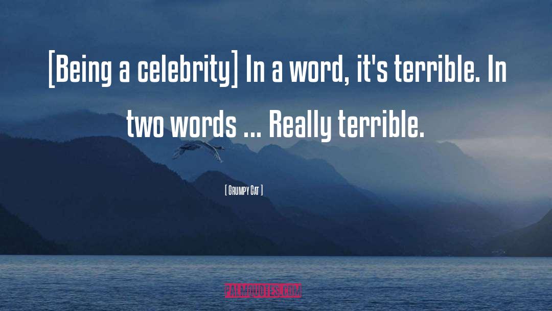 Grumpy Cat Quotes: [Being a celebrity] In a