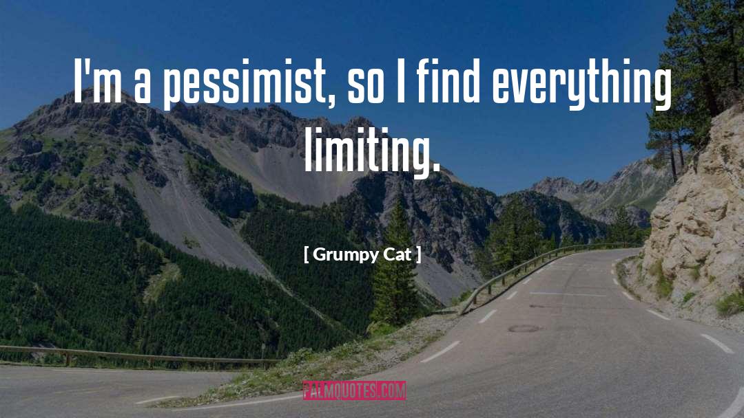 Grumpy Cat Quotes: I'm a pessimist, so I