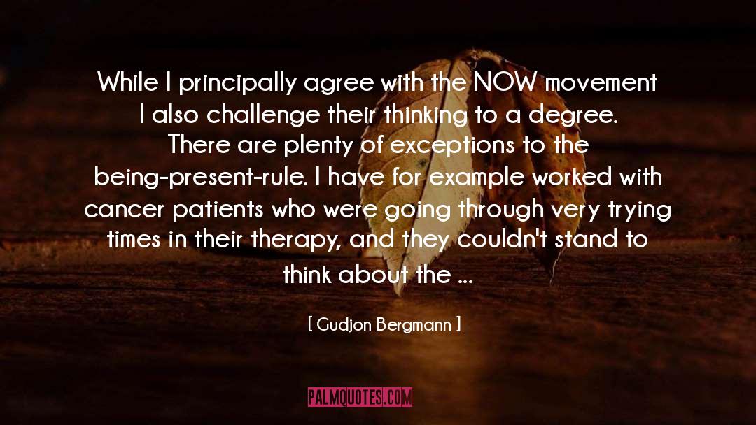 Gudjon Bergmann Quotes: While I principally agree with