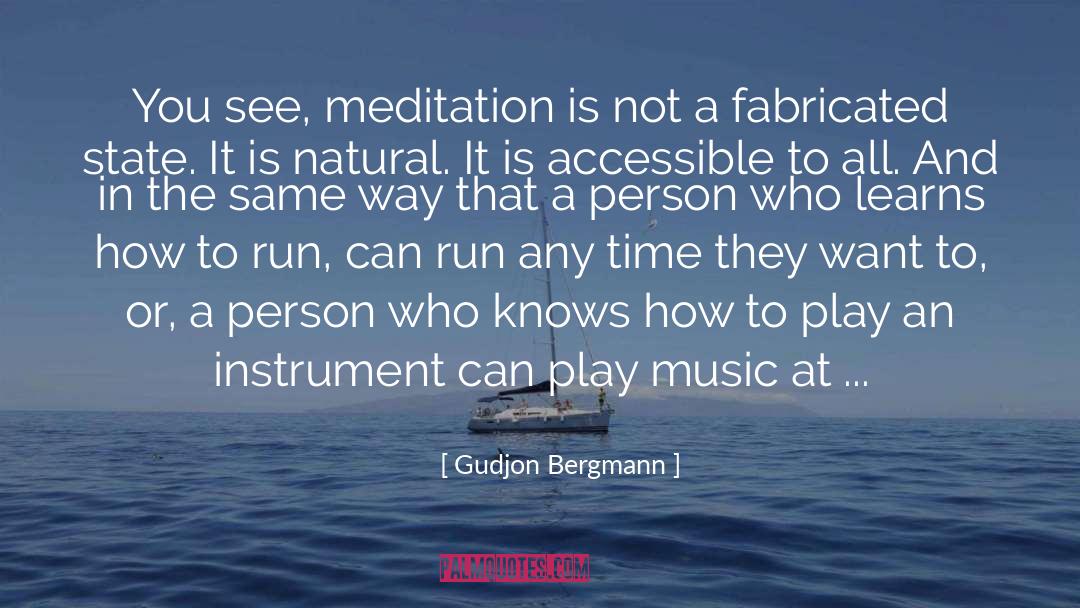 Gudjon Bergmann Quotes: You see, meditation is not