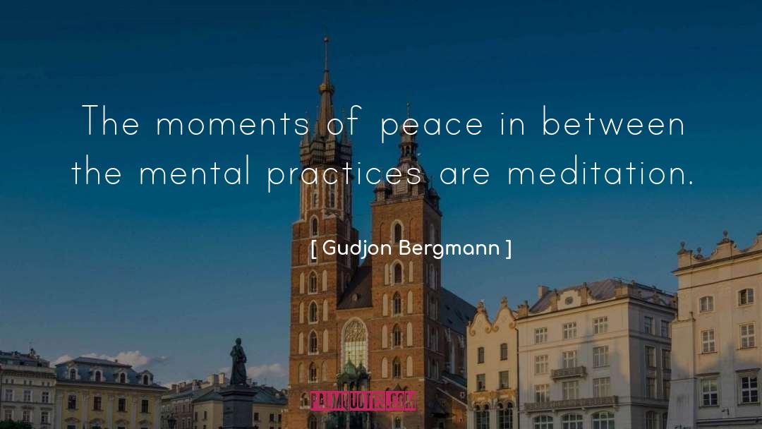 Gudjon Bergmann Quotes: The moments of peace in