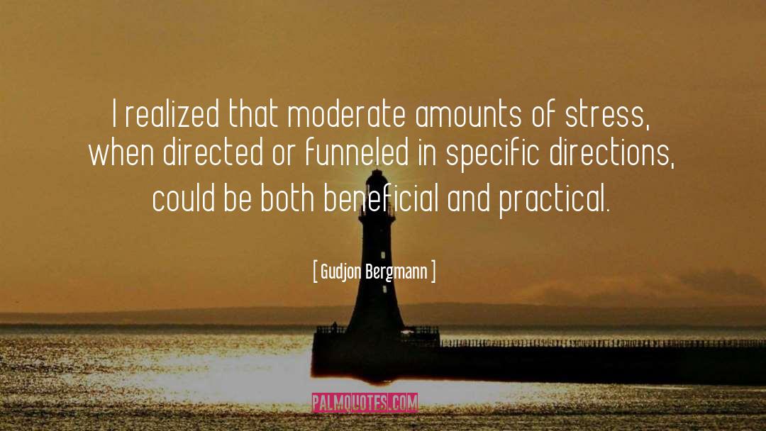 Gudjon Bergmann Quotes: I realized that moderate amounts