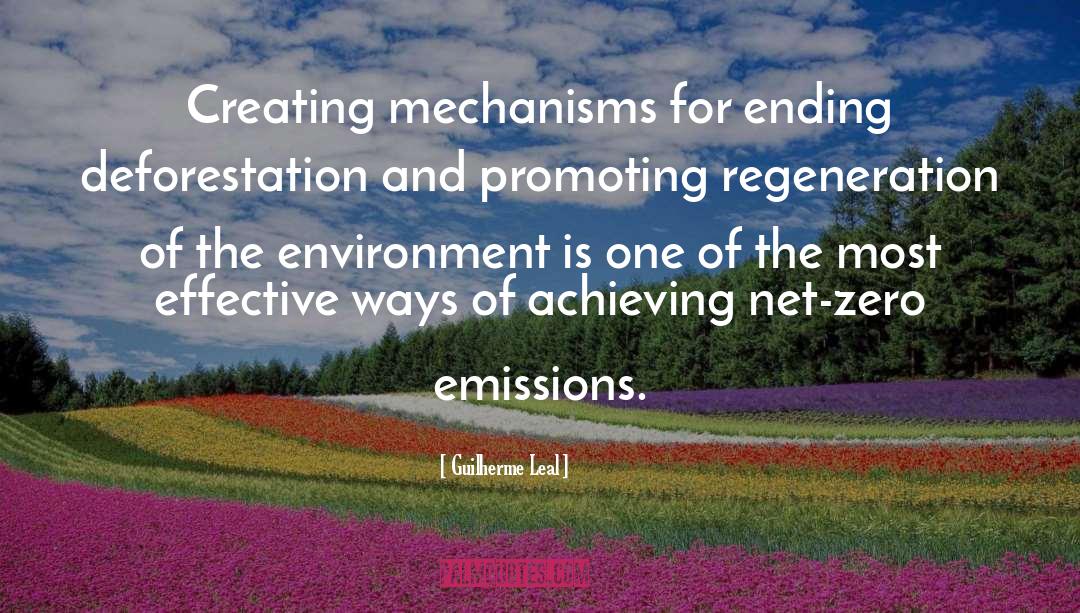 Guilherme Leal Quotes: Creating mechanisms for ending deforestation