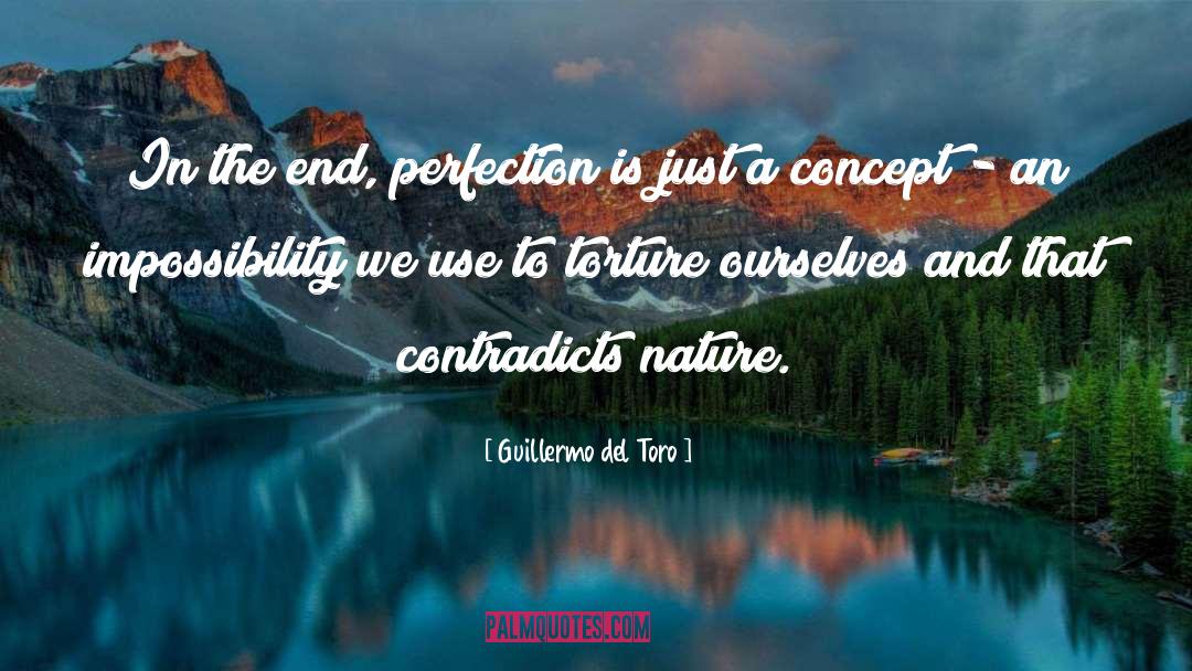 Guillermo Del Toro Quotes: In the end, perfection is