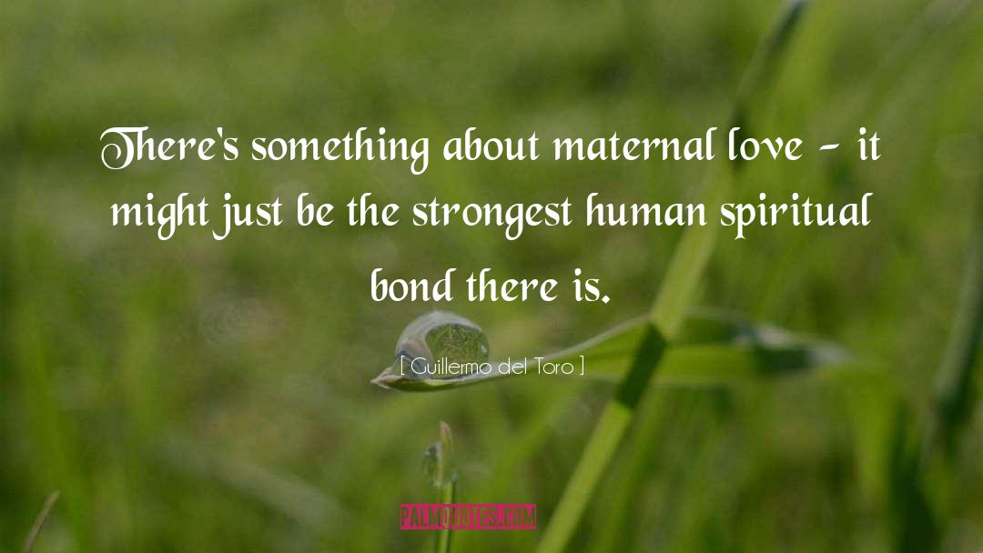 Guillermo Del Toro Quotes: There's something about maternal love