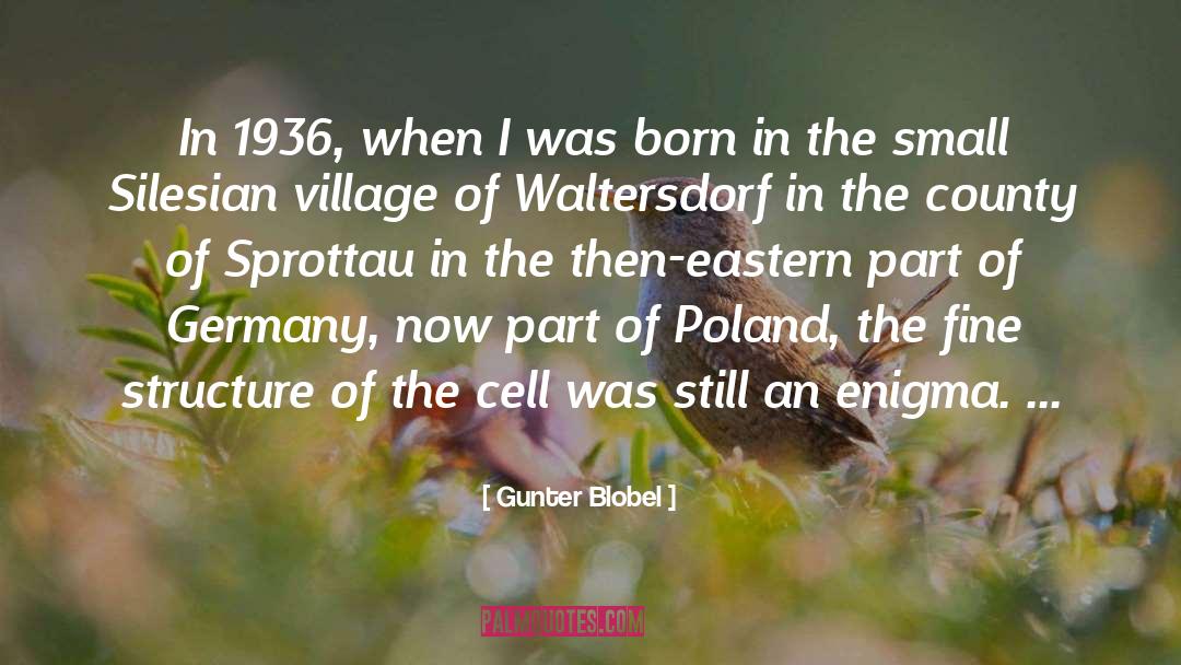 Gunter Blobel Quotes: In 1936, when I was