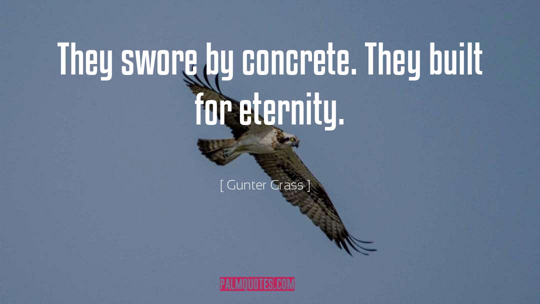 Gunter Grass Quotes: They swore by concrete. They