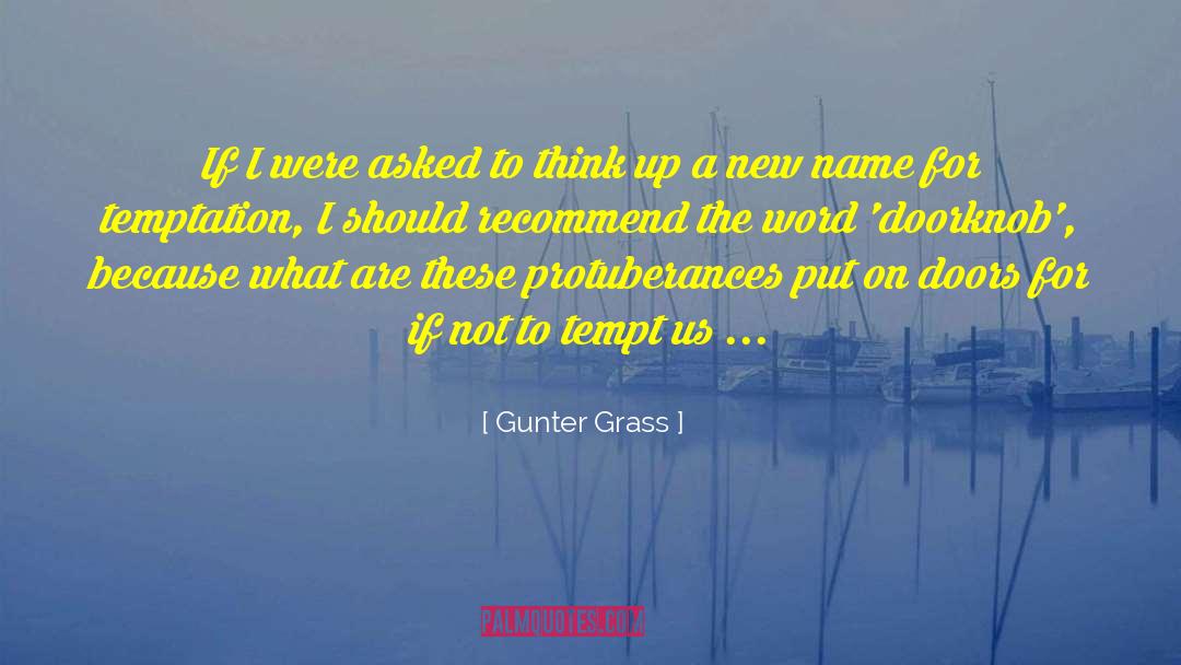 Gunter Grass Quotes: If I were asked to