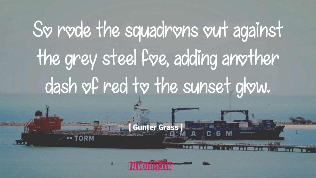 Gunter Grass Quotes: So rode the squadrons out