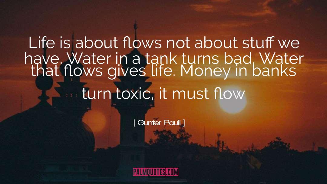 Gunter Pauli Quotes: Life is about flows not