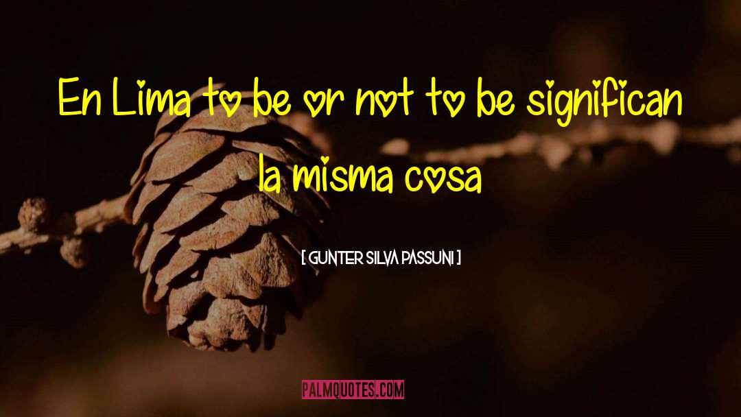 Gunter Silva Passuni Quotes: En Lima to be or