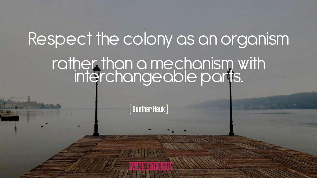 Gunther Hauk Quotes: Respect the colony as an