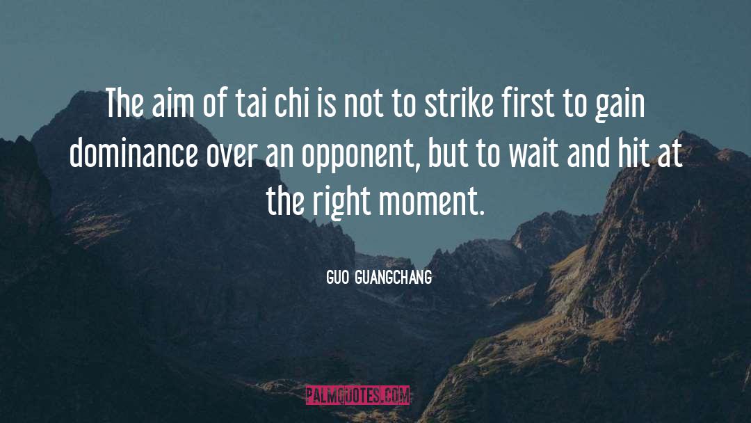 Guo Guangchang Quotes: The aim of tai chi