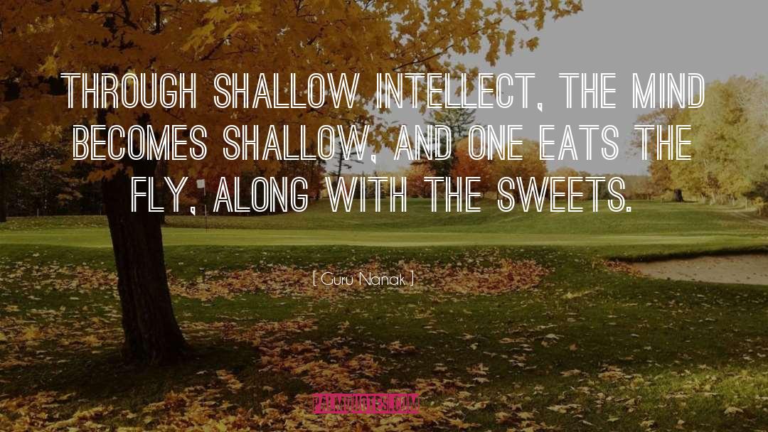 Guru Nanak Quotes: Through shallow intellect, the mind