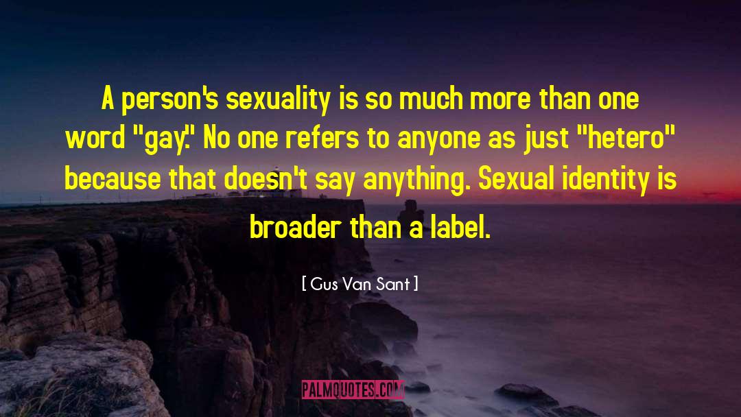 Gus Van Sant Quotes: A person's sexuality is so